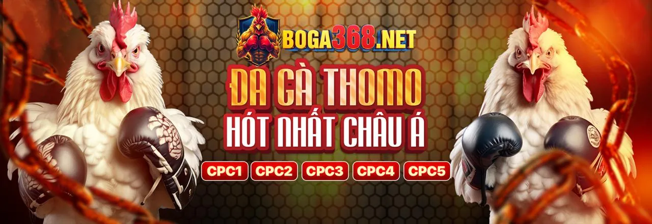 Đá Gà 89bet4 Chính Thức